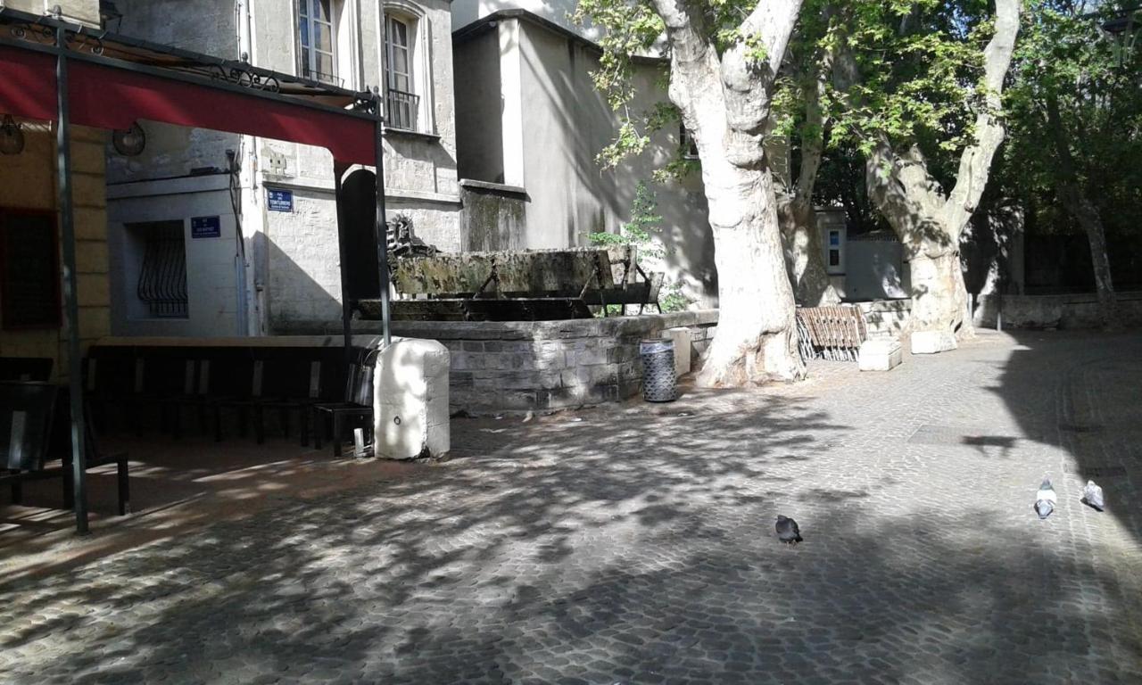 Chambre Sur Jardin Secret - Avignon Centre - Climatisee Exteriör bild